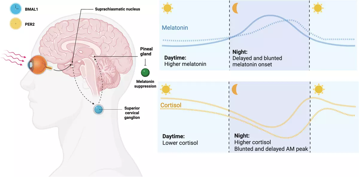 ADHD as a circadian rhythm disorder: evidence and implications for chronotherapy
