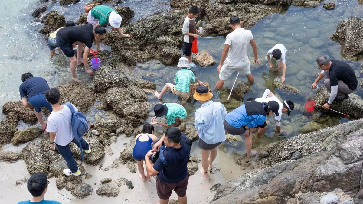 Greenpeace catches Hong Kong geopark ‘golden week’ visitors damaging marine life