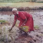 Police officers record statements over death of woman thrown from moving vehicle in Kirinyaga
