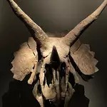 Dino-mite treasures: inside Singapore’s ‘Fort Knox’ storing playthings of ultra-rich