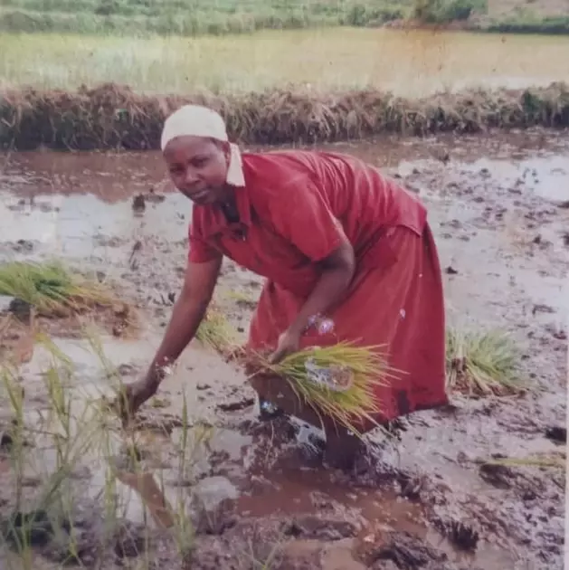 Police officers record statements over death of woman thrown from moving vehicle in Kirinyaga