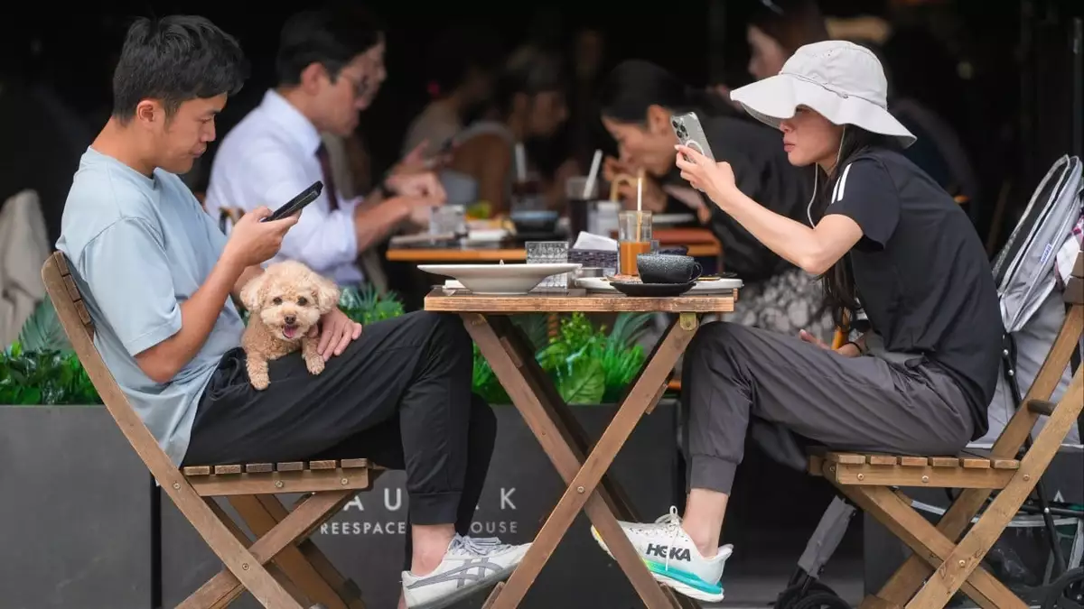 20 restaurants prosecuted for allowing dogs without permits since scheme launched