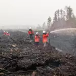 Indonesians turn to eco-art as haze sparks anger and diplomatic tension