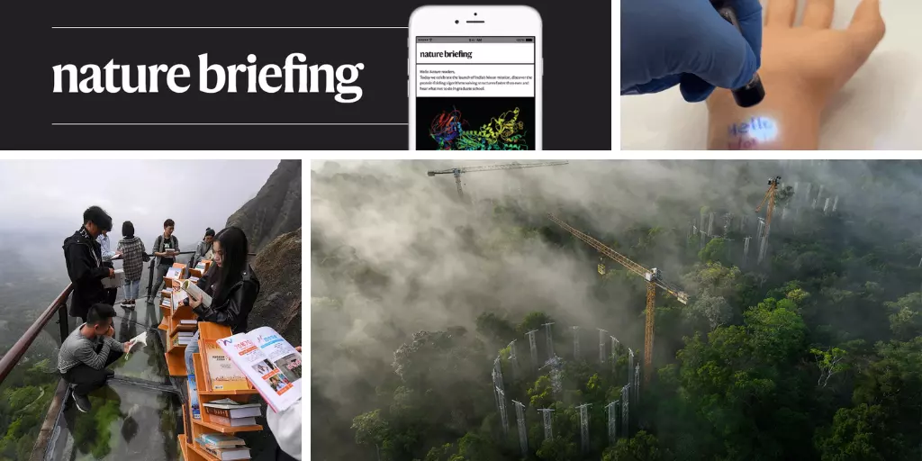 Daily briefing: Visit a huge climate experiment in the Amazon rainforest