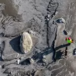 Nepal's grim DNA puzzle to identify flood dead