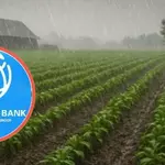 World Bank Warns of Low Crop Yields Over El Niño
