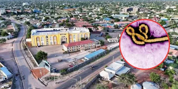 Kenyan Isolated with Viral Hemorrhagic Fever After DRC Travel