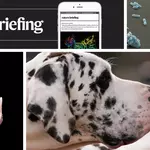 Daily briefing: Rogue ‘jumping genes’ age bigs dogs faster than little ones