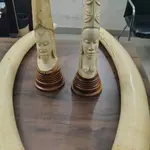 DRI seizes four elephant tusks, ivory articles; three held