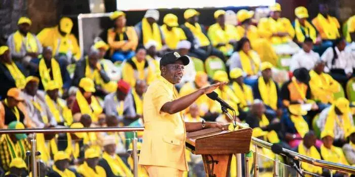 MP Gathoni Wamuchomba Announces Exit from UDA