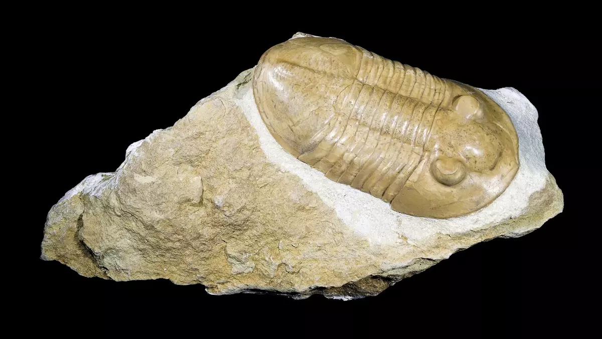 Scientists uncover the 2.3-billion-year-old secret that helped keep Earth habitable