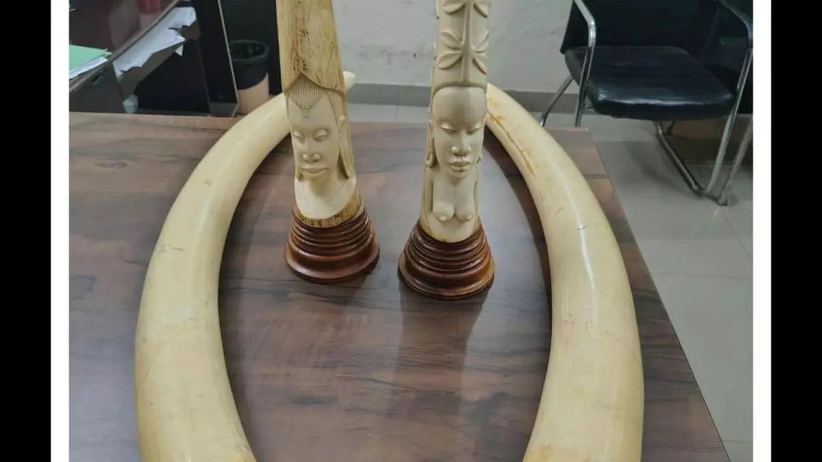 DRI seizes four elephant tusks, ivory articles; three held