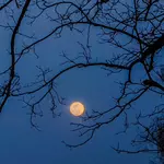 October’s night sky is full of cosmic tricks and treats
