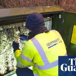 BT accused of ‘bullying’ customers by pausing broadband in digital landline push