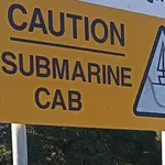 Submarine Cable Resilience