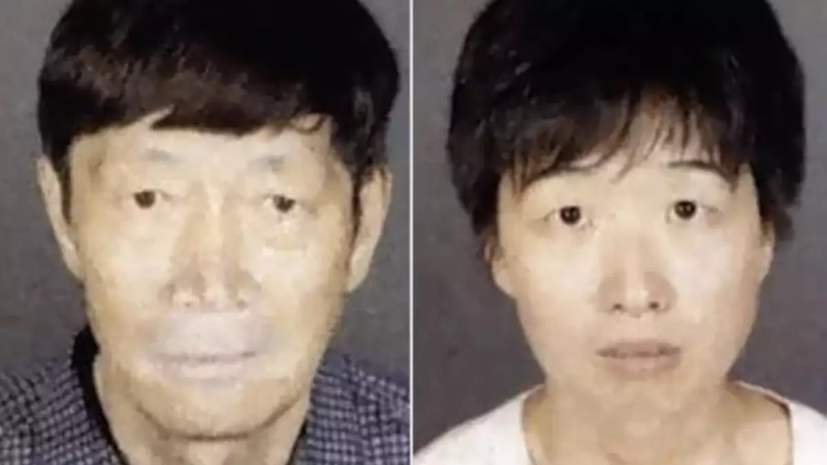 US seeks US$100 million bail each for Chinese-born couple in surrogacy child abuse case
