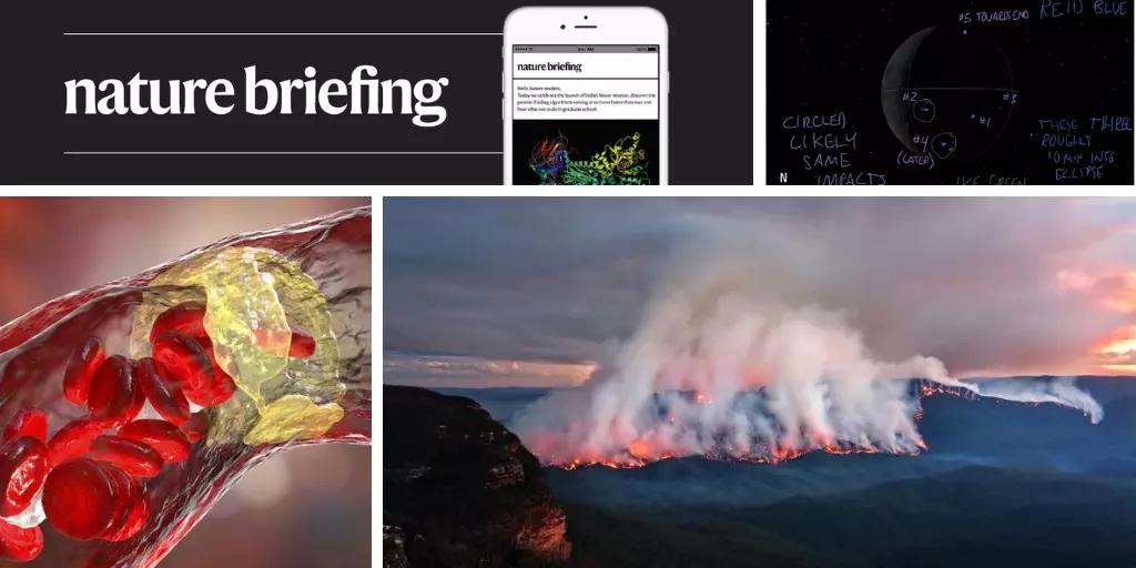 Daily briefing: Mathematicians up in arms over OpenAI’s preprint deluge