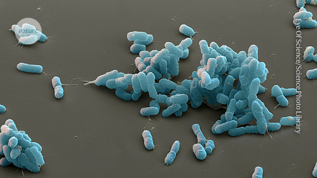Plague scare: what scientists know — and what Russia won’t say