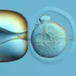 DNA recording system reveals how a single cell becomes a body