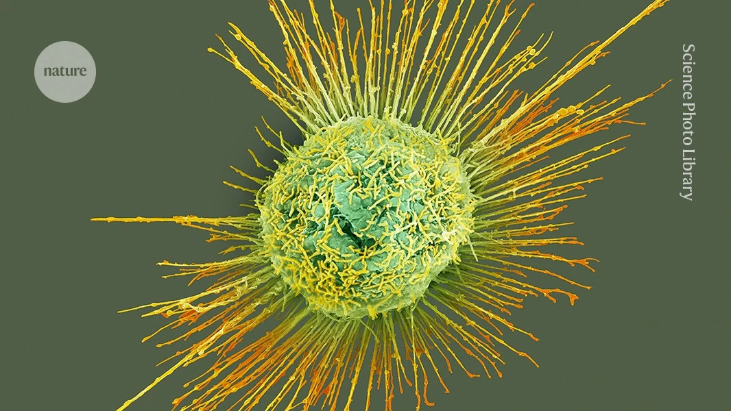 Flu season could kick off ‘incredibly’ early — what scientists are watching