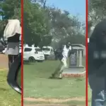 Mourners Flee as Bees Swarm Cemetery During Funeral, Sparking Jokes Online