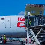 Kenya Airways Flies Over 50 Cows to Lagos in Cargo Expansion Drive