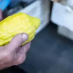 America’s only major etrog grower is in survival mode amid global competition