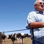 South Africa moves to break decades of white dominance in farmland ownership with 2.5 million hectares for black farmers