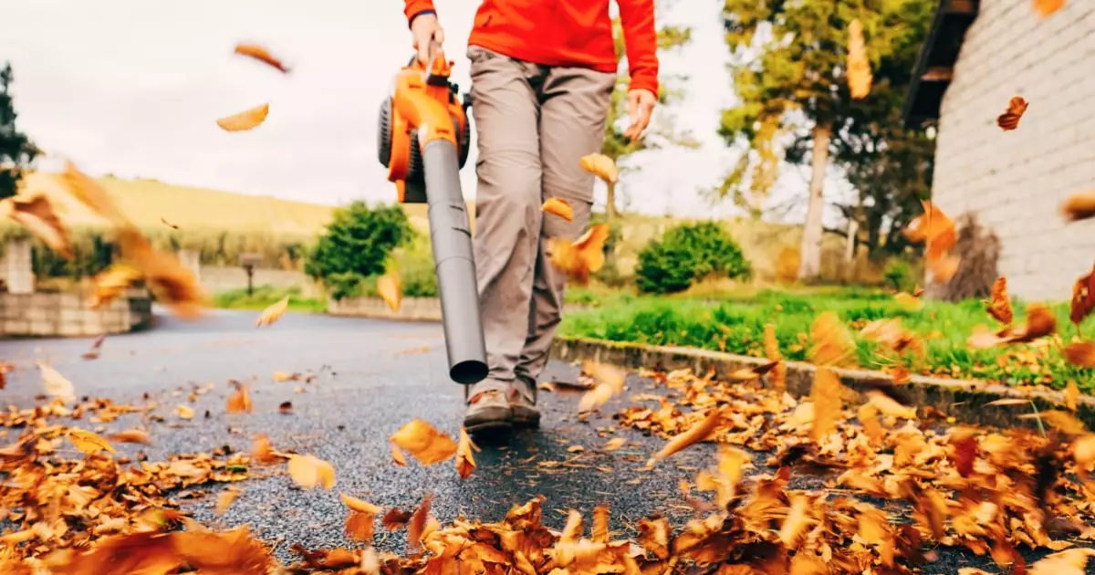 6 leaf blowers that make fall yard cleanup easy and quick