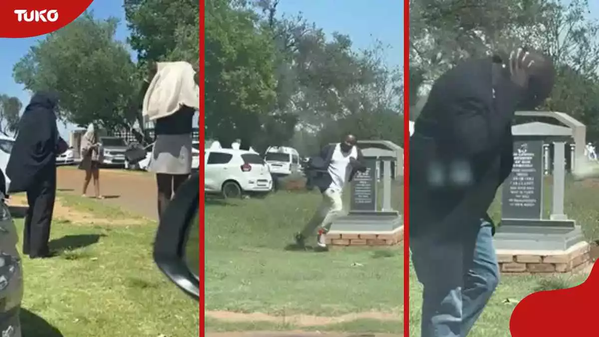 Mourners Flee as Bees Swarm Cemetery During Funeral, Sparking Jokes Online