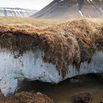 Woody ‘blankets’ are being deployed on Arctic permafrost to reduce carbon emissions