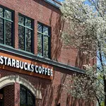 Starbucks Is Disappearing From Downtown Boston. Local Coffee Shops Are Cashing In