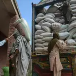 PM sets indicative wheat price at Rs4,500 per maund for 2027