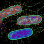 Bacteria turn a virus’ own weapon against it