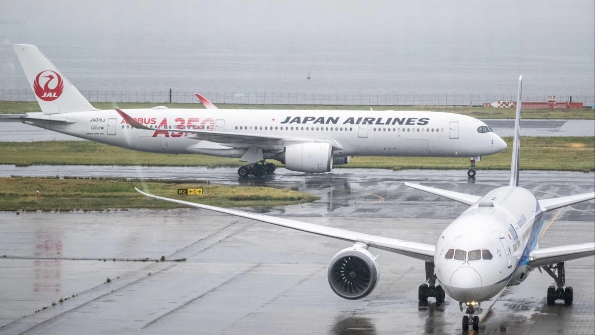 Air rage incidents in Japan surge, led by late check-in ‘flashpoint’