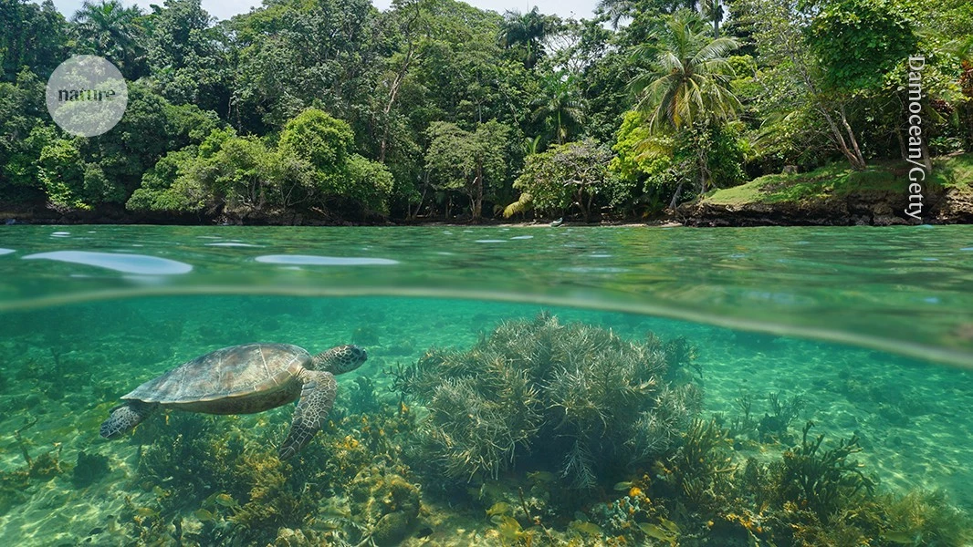 Nature has rights — it is time the world recognized them