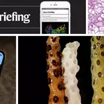 Daily briefing: Bleached corals revived by healthy neighbour’s touch