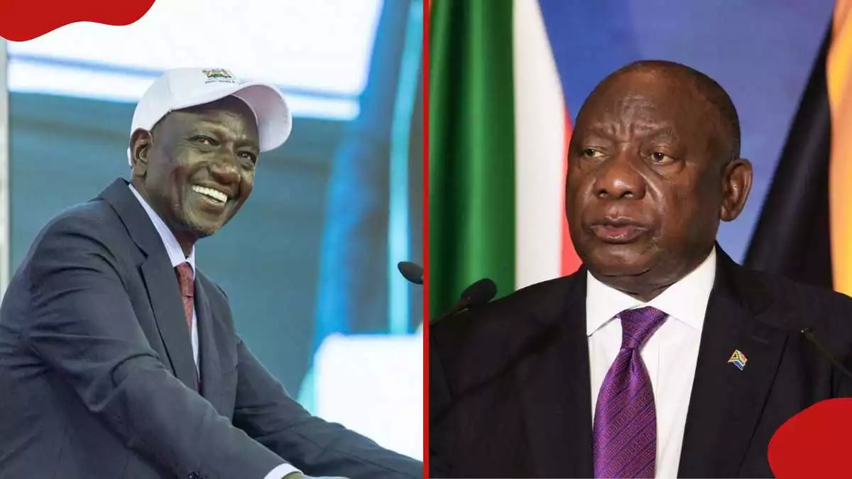 Kenyans on X roast South Africans in viral online showdown, hilarious reactions emerge