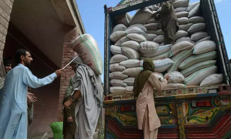 PM sets indicative wheat price at Rs4,500 per maund for 2027