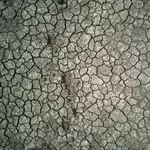El Nino will intensify, then peak in December: UN