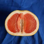 We're unlocking the biggest mysteries of the clitoris