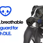 I designed a nose guard for my dog and gave it away. Now 500 dogs wear one