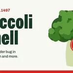 Broccoli2Shell: Brotli decoder RCE in Node.js, Python and more