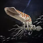 Scientists discover a bizarre Jurassic “squid” unlike anything ever seen