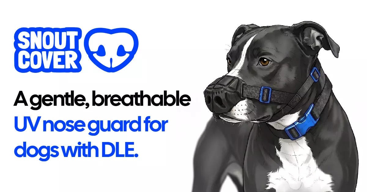 I designed a nose guard for my dog and gave it away. Now 500 dogs wear one