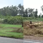  KFS Responds to Claims of Illegal Logging at Ngong Hills Forest 