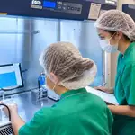 Hong Kong IVF clinic cleared to resume all services after embryo specimen mix-up