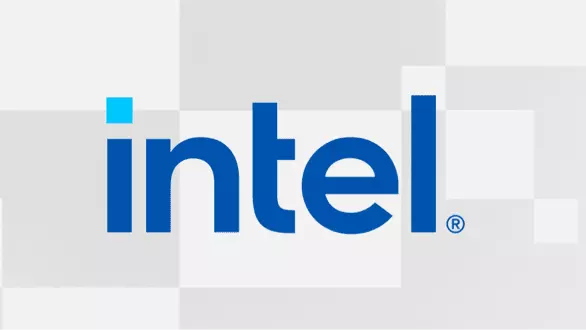Intel D270 GPU AI Accelerator–Up to 480 GB LPDDR5X