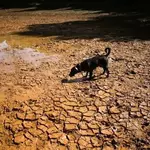 Record El Nino? Depends who's counting