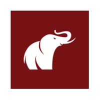 The Elephant